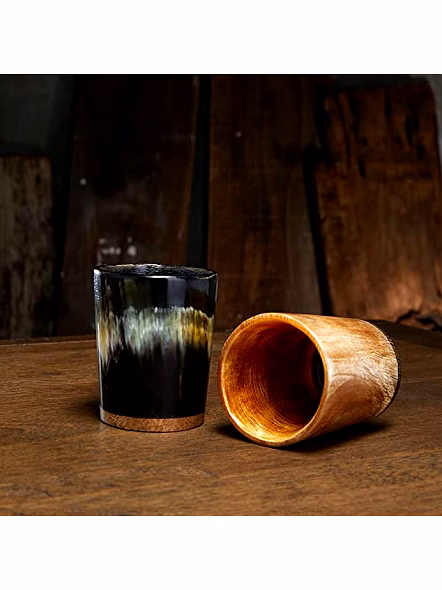 Set of 2 Horn Shot Glass Vodka Glass Tequila Glass Whiskey