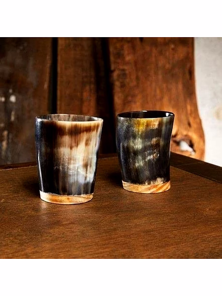 Set of 2 Horn Shot Glass Vodka Glass Tequila Glass Whiskey-3