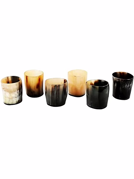 Set of 6 Mini Horn Shot Glass Vodka Tequila Whiskey Viking Glass Wine Shots
