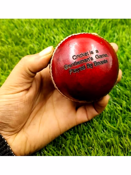 Personalized Leather Ball (Red) with Cricket bat Full Size, Standard Size Your Text on Ball and bat-2