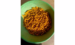 Turmeric