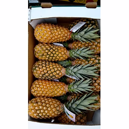 pineapple