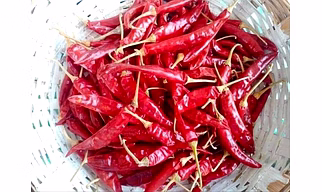 Red Chilli