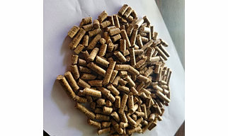 Biomass Pellets