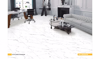 Porcelain Tiles 24x48