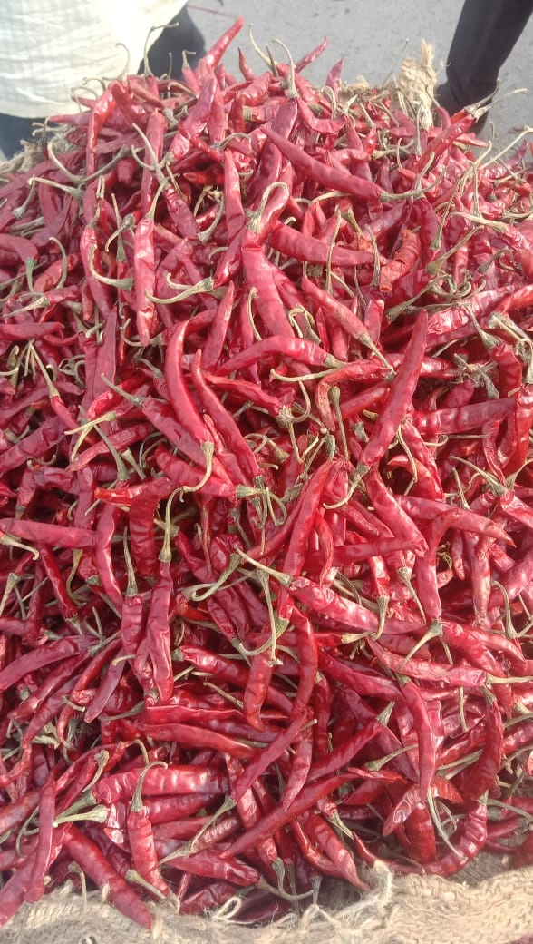 RED CHILI-2