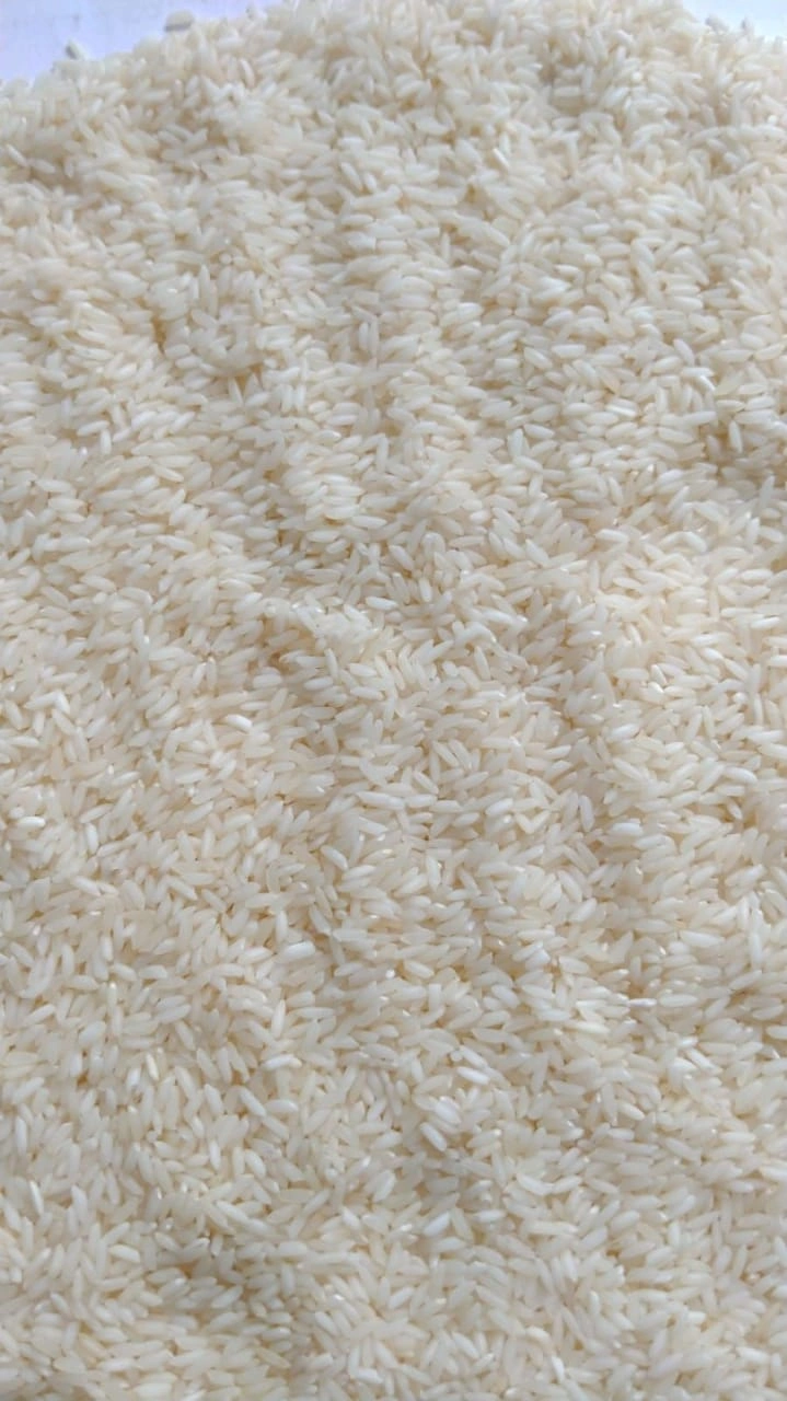 NON BBASMATI RICE-3