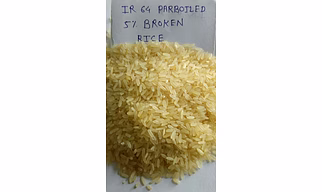 NON BBASMATI RICE