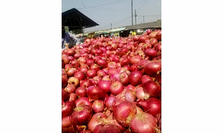 ONION
