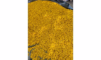 TURMERIC FINGER