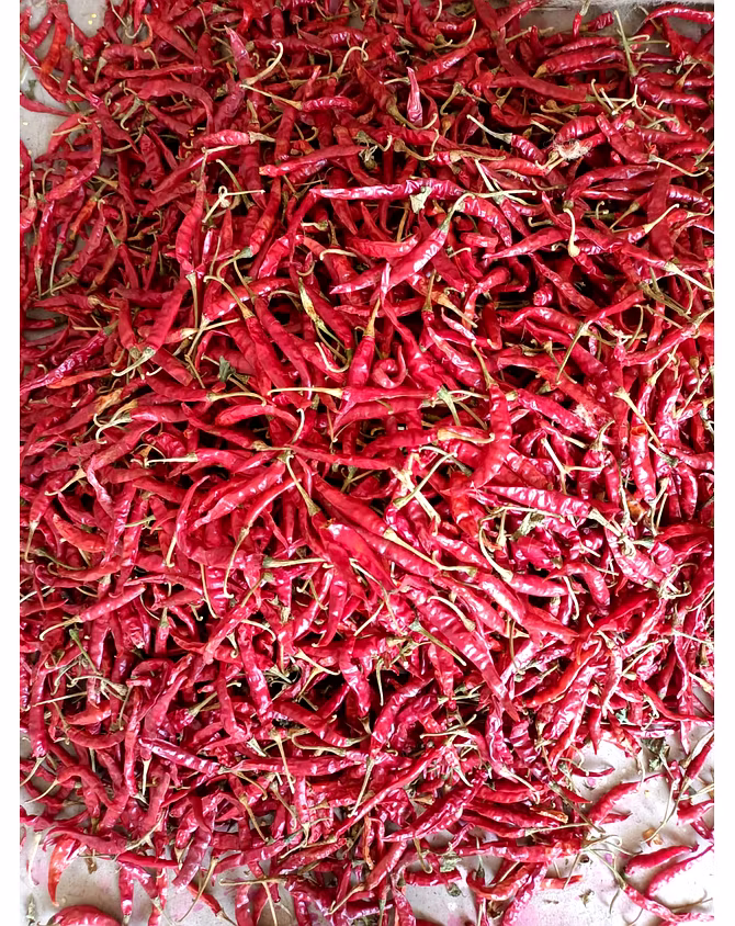 RED CHILI-2