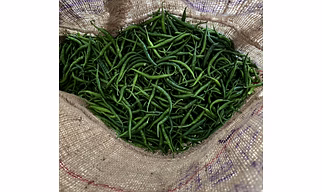 GREEN CHILI