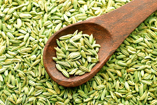 Fennal Seeds image 3