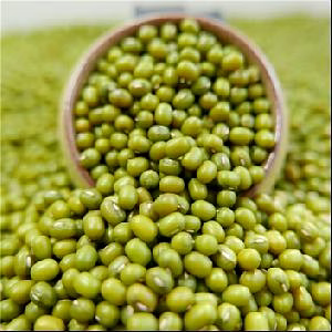 Green Mung Beans image 2