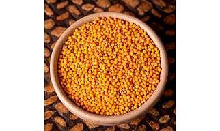 Mustard Seeds