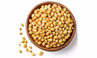 Coriander Seeds