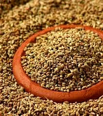 Carrom Seeds ( Ajwain ) image 3