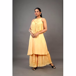 wander long dress of organza 1011