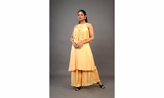Long Dress of Organza 1011