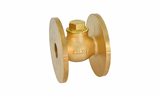 1012 Bronze Horizontal Check Valve No.8 (Flanged)