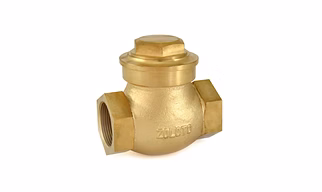 1013 Bronze Horizontal Check Valve No.9 (Screwed)