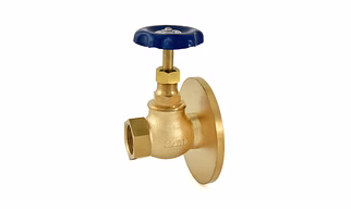 1004 Bronze Globe Valve (One Side Flanged) with PTFE Seating