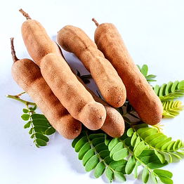 tamarind for bulk supply, global buyers and importers| wholesale whole spices export-ready spices for global buyers and importers by vijay exports and imports