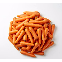 carrot for bulk supply, global buyers and importers| wholesale vegetable export-ready spices for global buyers and importers by vijay exports and imports