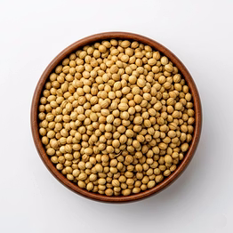 coriander for bulk supply, global buyers and importers| wholesale whole spices export-ready spices for global buyers and importers by vijay exports and imports