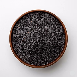 mustard for bulk supply, global buyers and importers| wholesale whole spices export-ready spices for global buyers and importers by vijay exports and imports