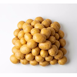 potato for bulk supply, global buyers and importers| wholesale vegetable export-ready spices for global buyers and importers by vijay exports and imports