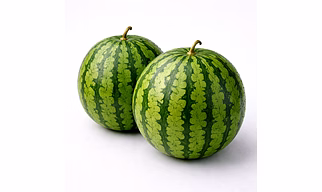 Water Melon for Bulk Supply, Global Buyers and Importers| Wholesale Fruits Export-Ready Spices for Global Buyers and Importers by Vijay Exports and Imports