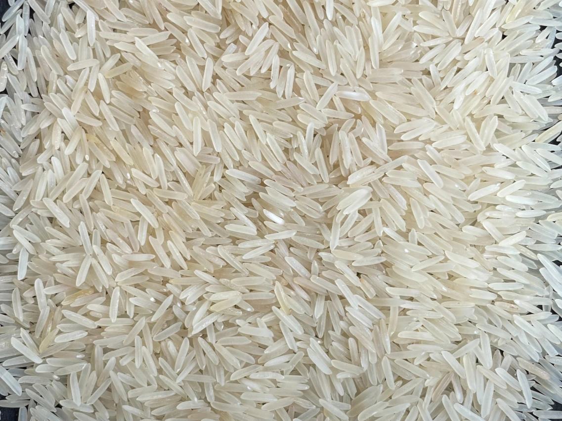 1121 Basmati (Steam, Raw, White &amp; Golden Sella)-2