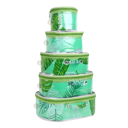 RASAFA Pack Of 5 Gorgeous Makeup Kit Box, Spacious Interior Cosmetic Box Vanity Box-GRNF-515