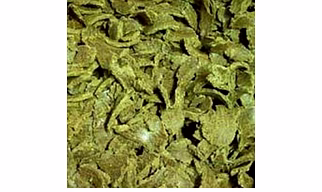 Moringa Oil Seed cake and powder