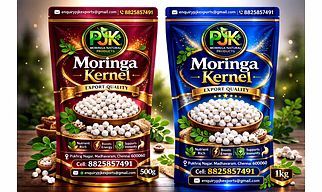 PJK Moringa Seed kernel