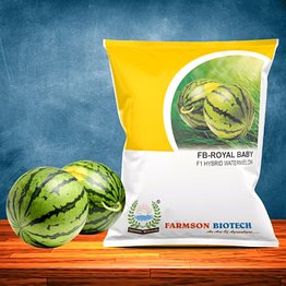 fb-royal baby f1 hybrid watermelon seeds