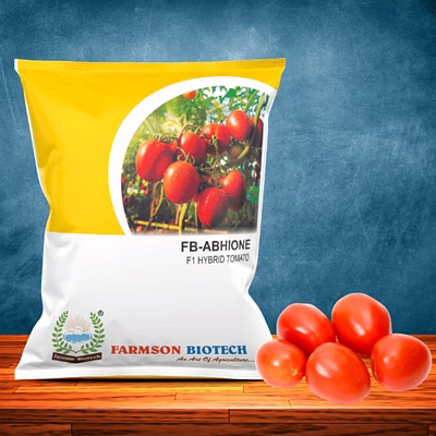 fb-abhione f1 hybrid tomato seeds (oval and red)