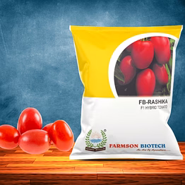 fb- rashika f1hybrid tomato seeds