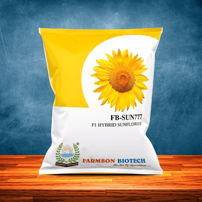 fb-sun777 f1 hybrid sunflower seeds