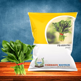 fb-avantika spinach seeds