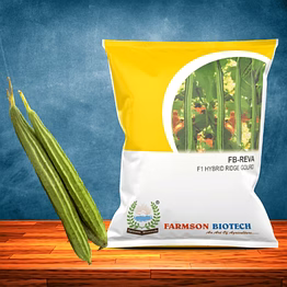 fb-reva f1 hybrid ridge gourd seeds