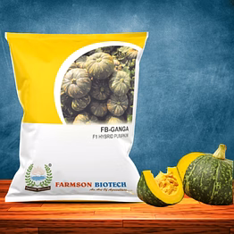fb-ganga f1 hybrid pumpkin seeds
