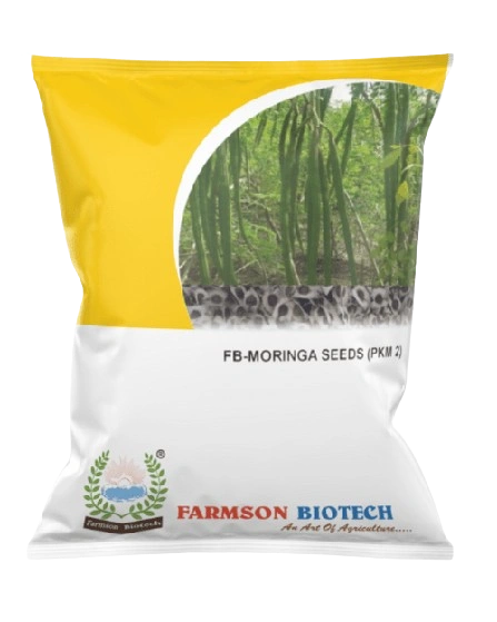 FB-PKM 2 F1 HYBRID Drum Stick (Moringa) SEEDS-3