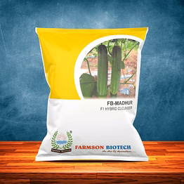 fb-madhur f1 hybrid cucumber seeds