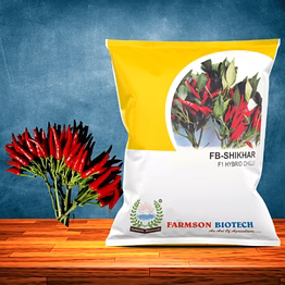 fb-shikhar f1 hybrid chili seeds (upright)