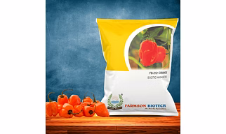 FB-2122 ORANGE HABANERO CHILLI SEEDS (VERY HOT)