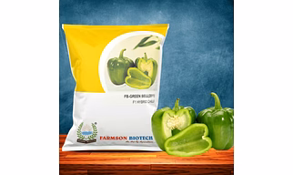 FB-GREEN BELL (2011) F1 HYBRID SWEET PEPPER SEEDS
