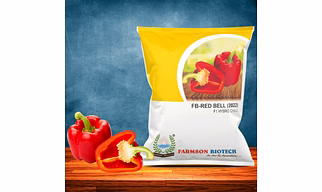 FB-RED BELL (2022) F1 HYBRID SWEET PEPPER SEEDS