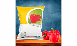 FB-MONALISA (2222) F1 HYBRID SWEET PEPPER SEEDS